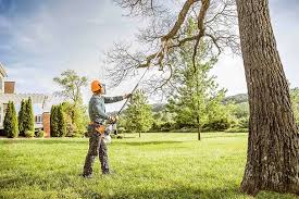 How Our Tree Care Process Works  in Fostoria, OH